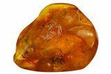 Fossil Spider (Araneae) and Mites (Acari) In Baltic Amber #170065-2
